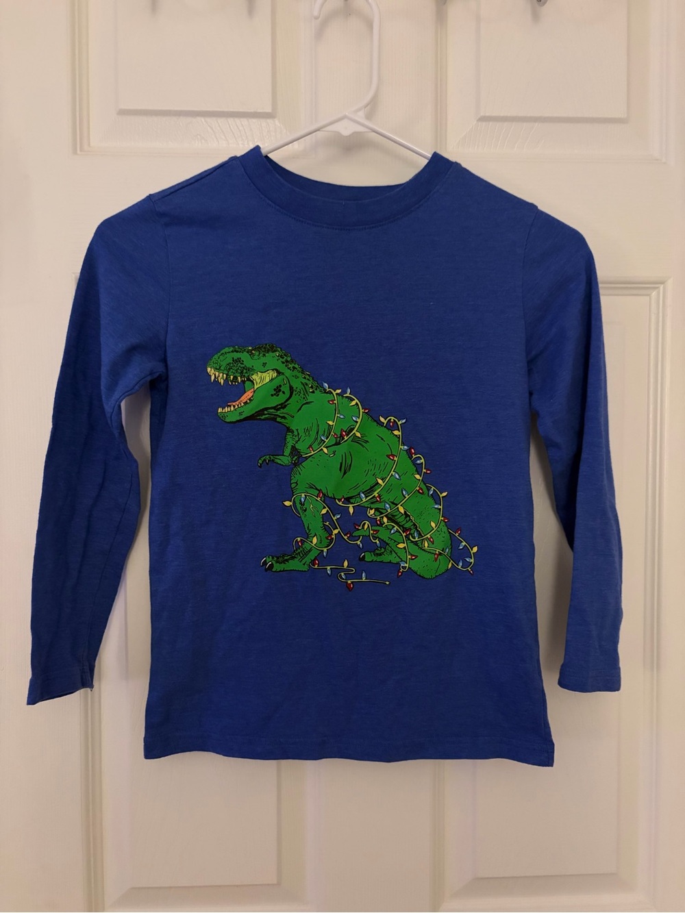 Cat & Jack Blue Long-Sleeve Tee with Green T-Rex and String Lights